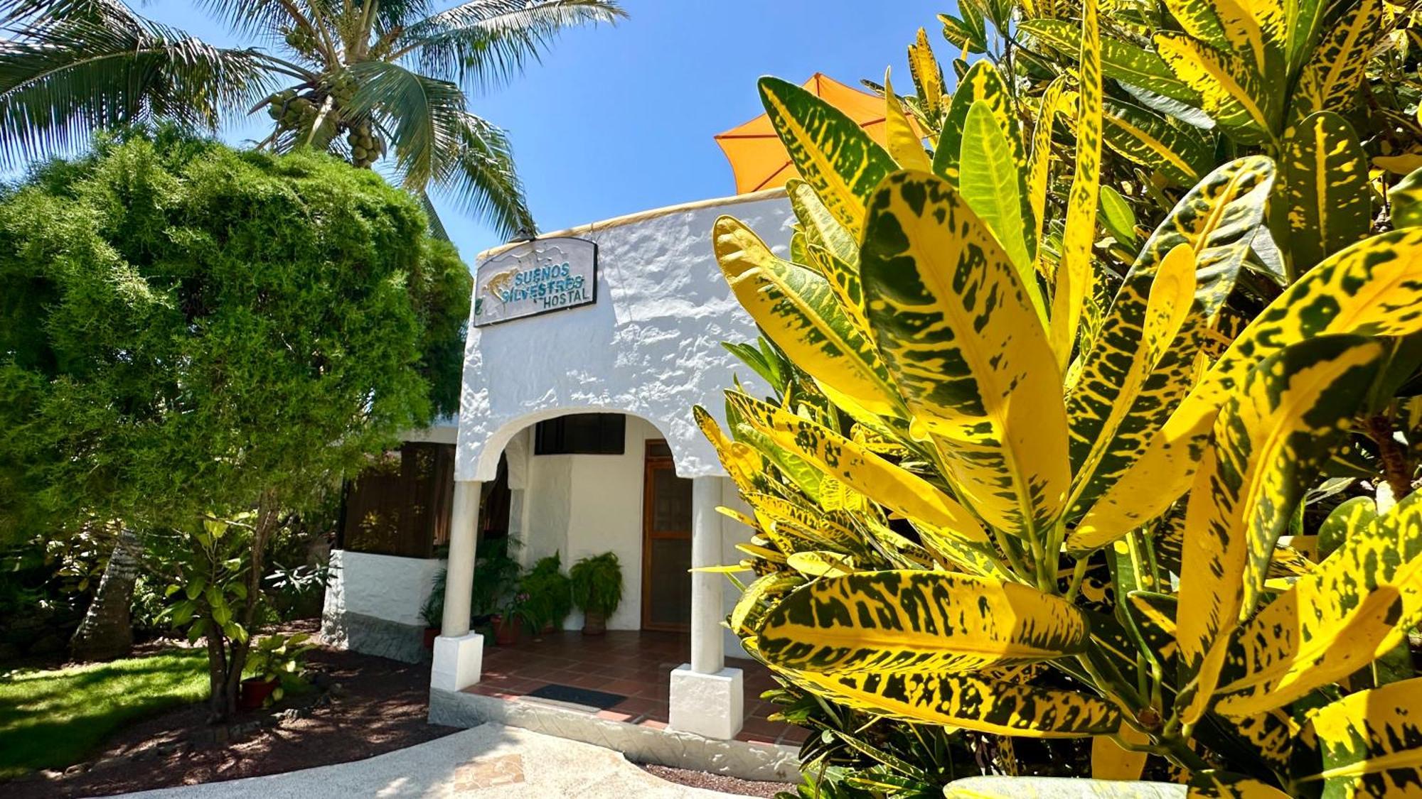 Hostal Sueños Silvestres Puerto Ayora  Exterior foto