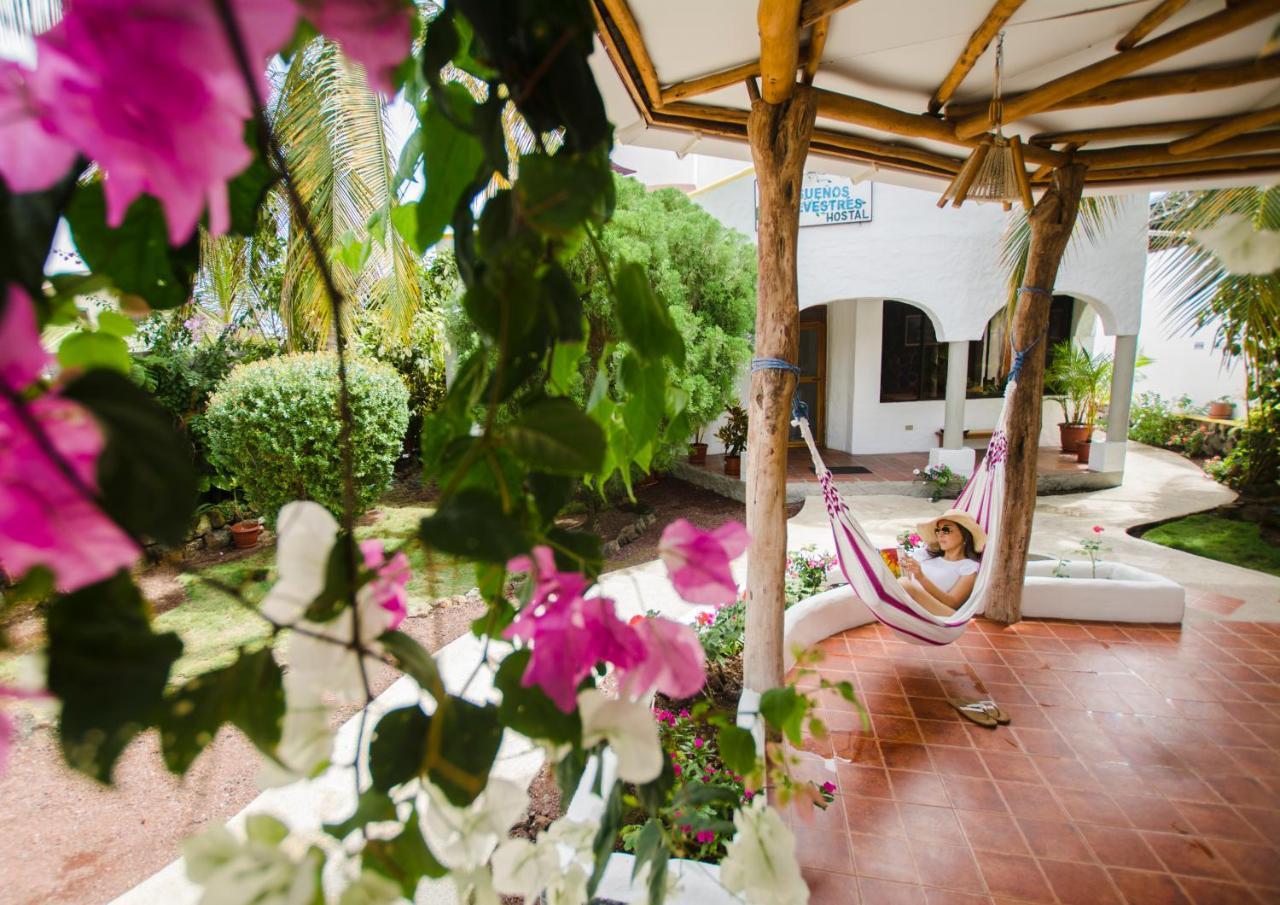 Hostal Sueños Silvestres Puerto Ayora  Exterior foto